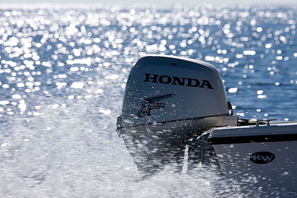 Двигун для човна Honda BF 50 D LRTU